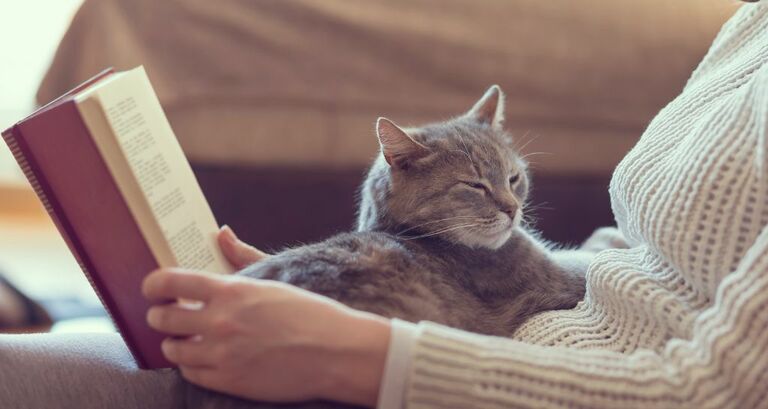 Libri sui gatti: una selezione