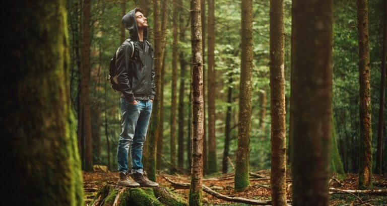 Paura degli insetti: cos'è l'entomofobia