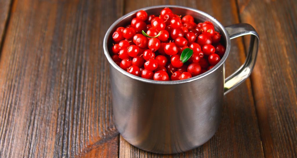 Uva ursina: cos'è, proprietà