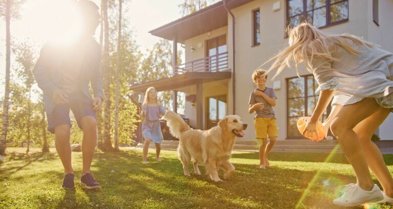 Cani grandi: un elenco delle razze