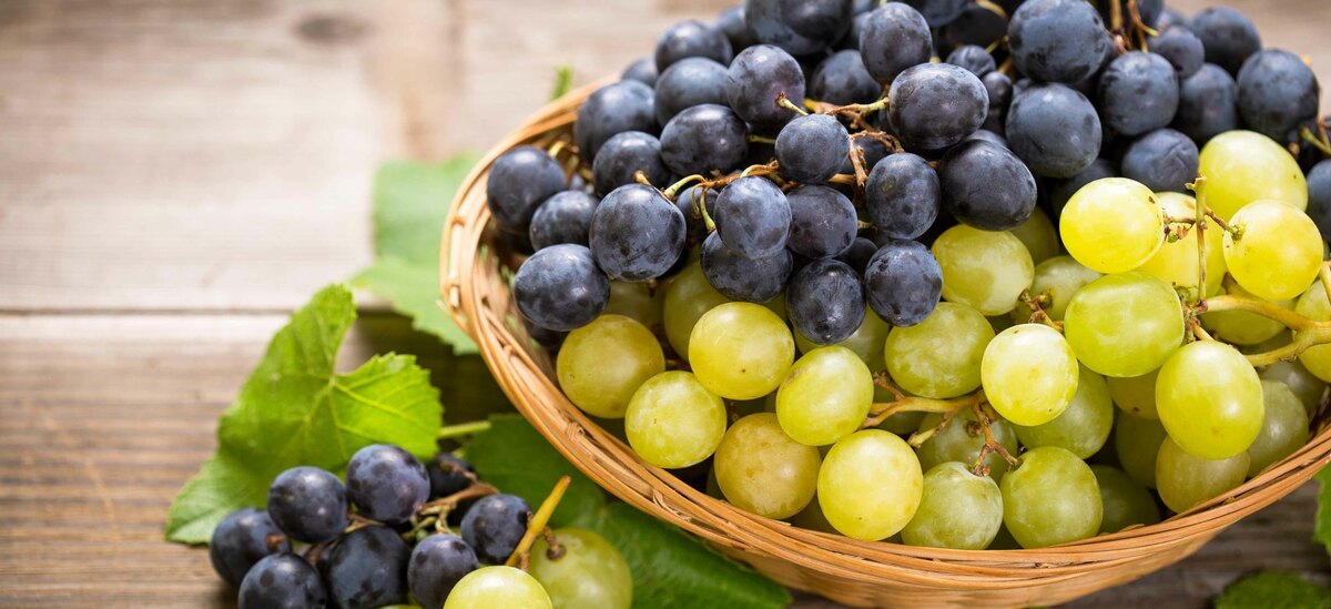 Alimenti a basso indice glicemico