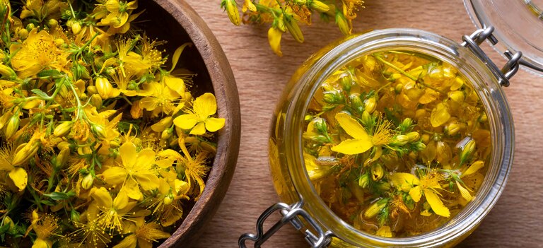 Ecco tutte le proprietà e le controindicazioni dell'iperico