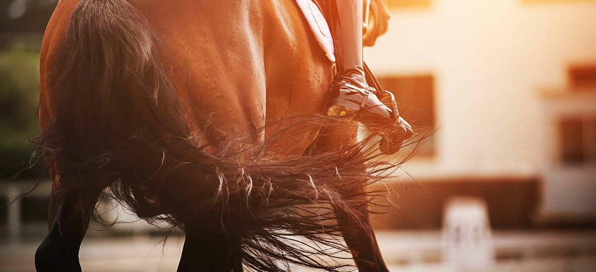 Scopriamo quali sono i benefici dell'andare a cavallo