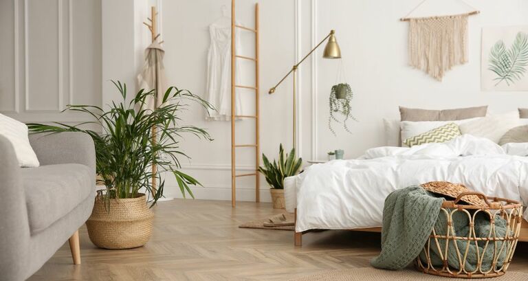 Piante in camera da letto: quali sono le più adatte?