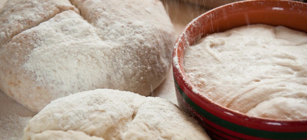 Scopriamo la ricetta del lievito madre