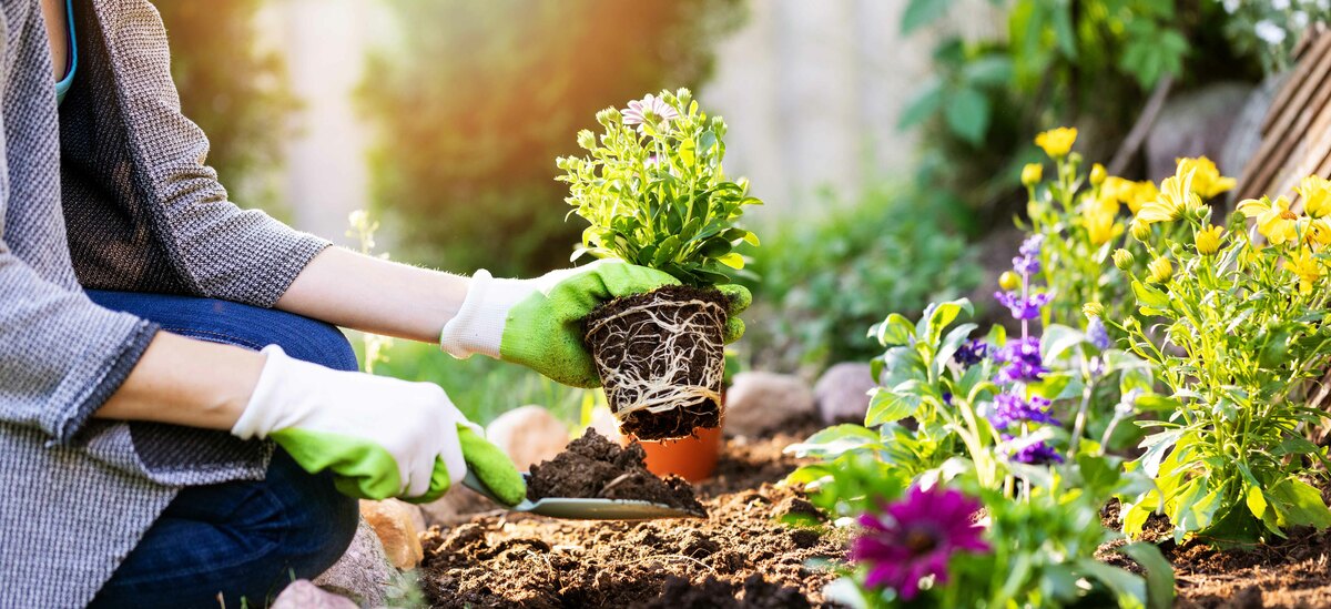 Giardinaggio per rilassarsi
