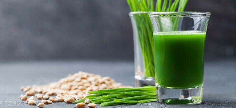 Scopriamo proprietà e benefici dell'erba di grano