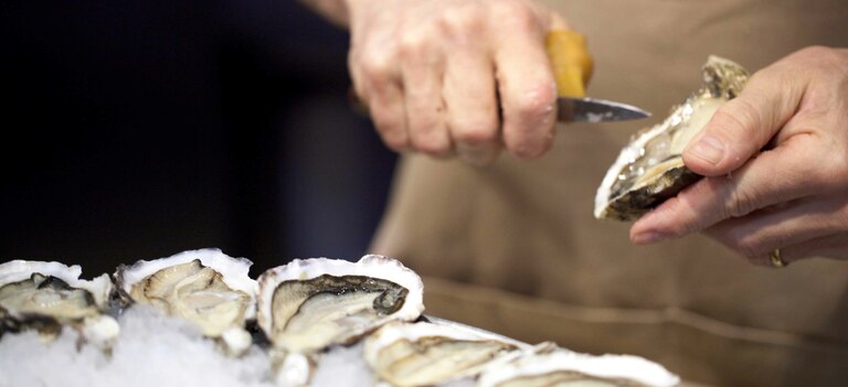 Scopriamo in cosa consiste il metodo omeopatico della Calcarea Carbonica