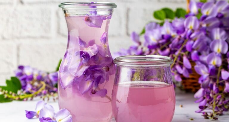 tisane-fredde-per-lestate