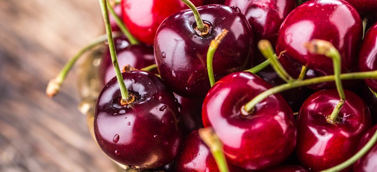 Proprietà dello zenzero