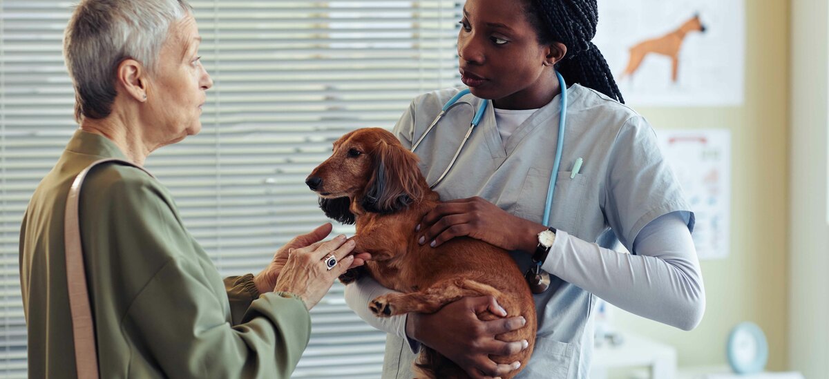 Veterinario con cane