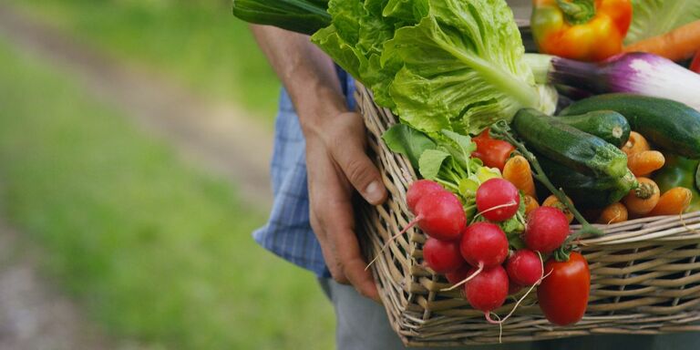 Verdure da mangiare crude: quali sono?