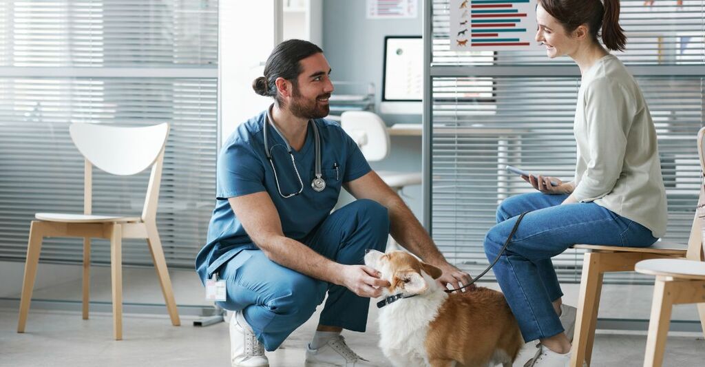 Cane ansioso? Ecco come superare l’ansia da separazione Cane ansioso? Ecco come superare l’ansia da separazione