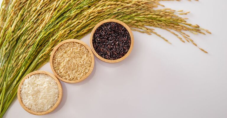 cosa-mangiare-dopo-una-colica-renale-riso-farro-avena