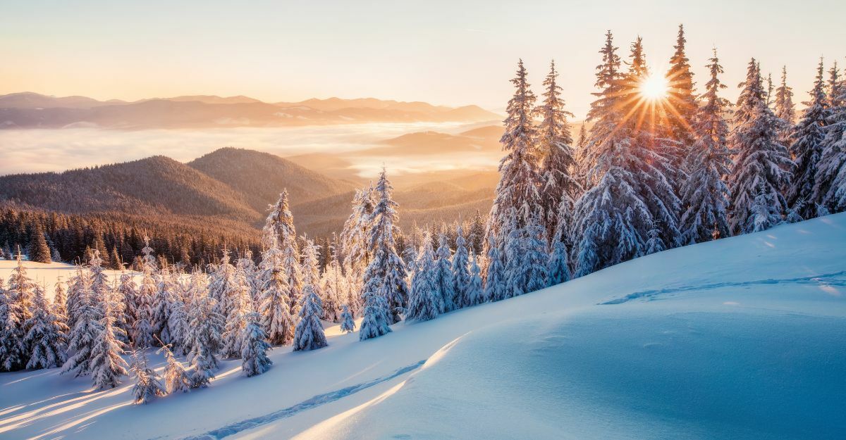 paesaggio con la neve