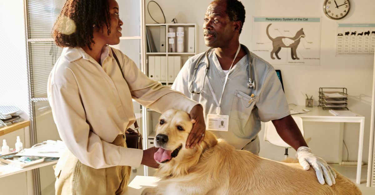 Brufoli nel cane: le cause