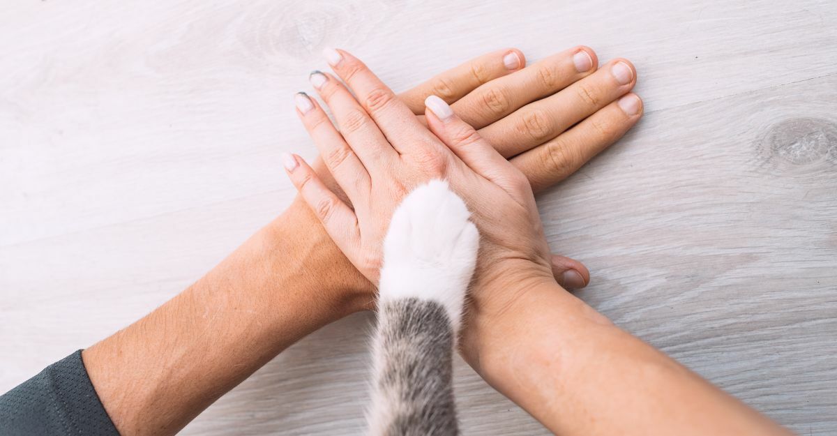 scopri quale animale ti assomiglia con questo semplice quiz!