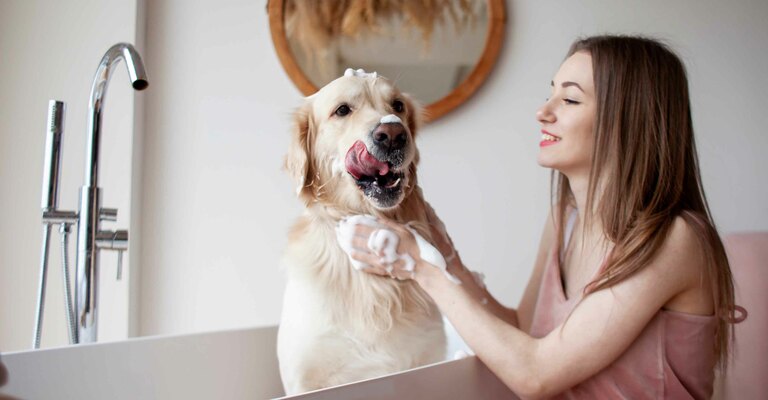 Quando fare il bagno al cane: scopriamolo