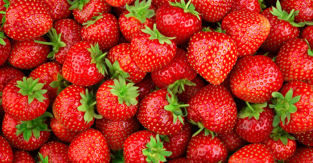fragole