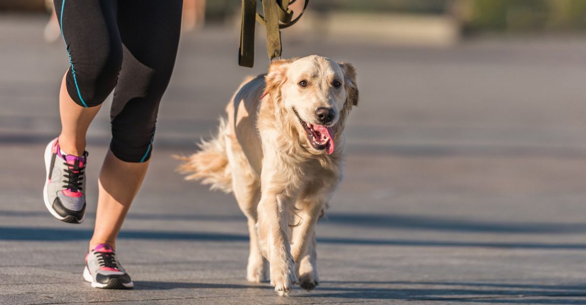 Come correre con il cane: cosa sapere