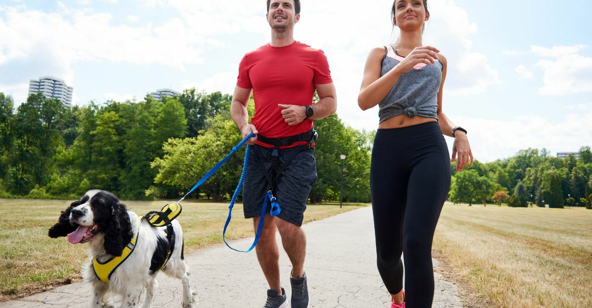due persone camminano con il cane