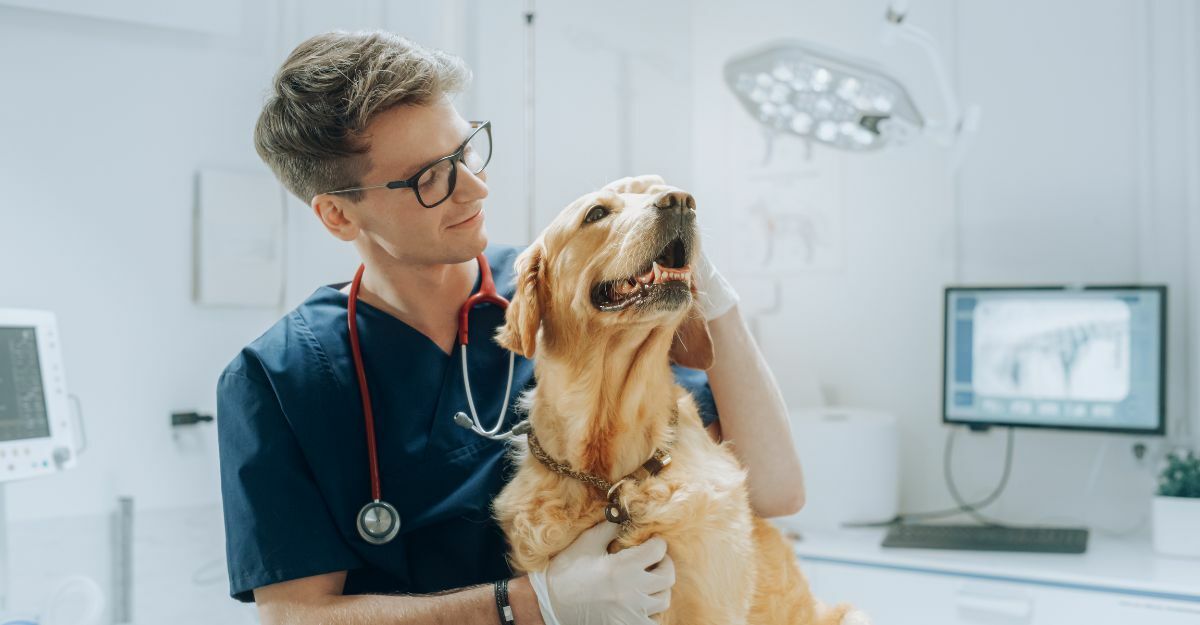 Cane con il veterinario