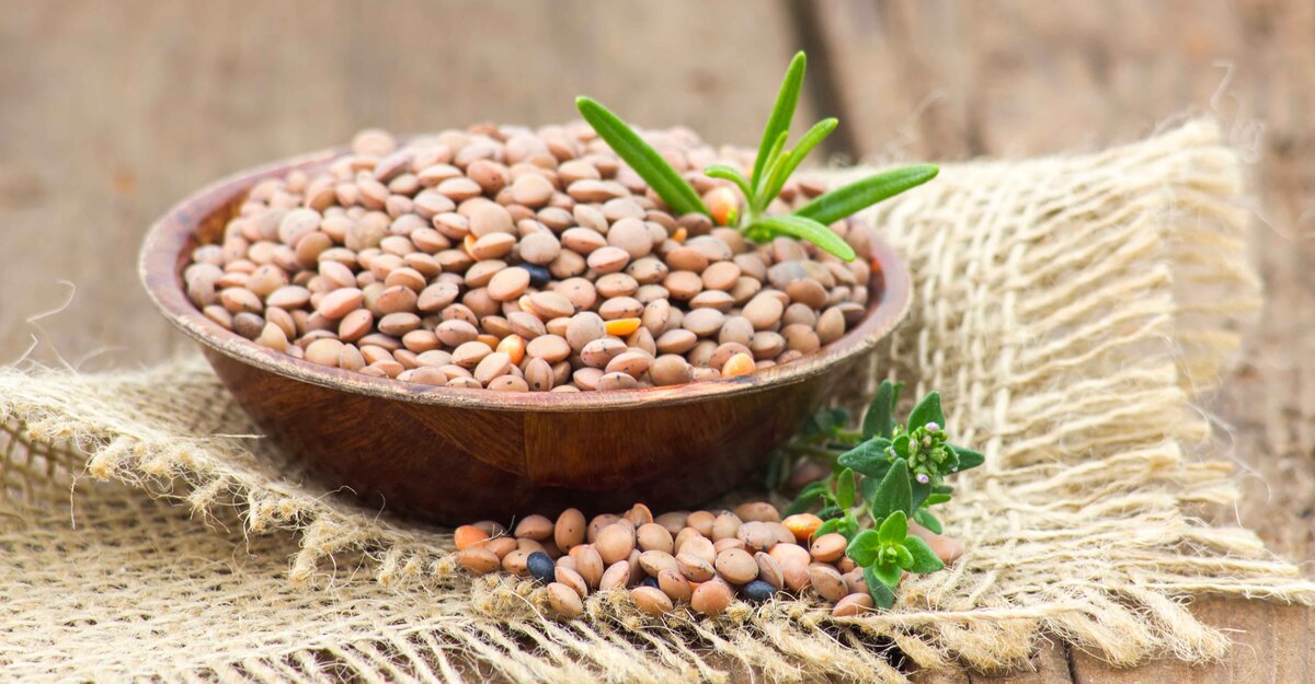 Una ciotola di lenticchie