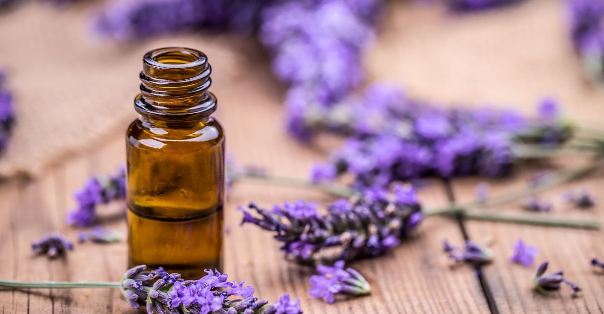 olio essenziale di lavanda