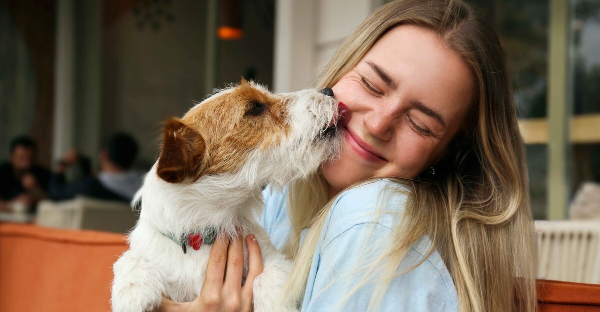 Un cane lecca la faccia della sua padrona