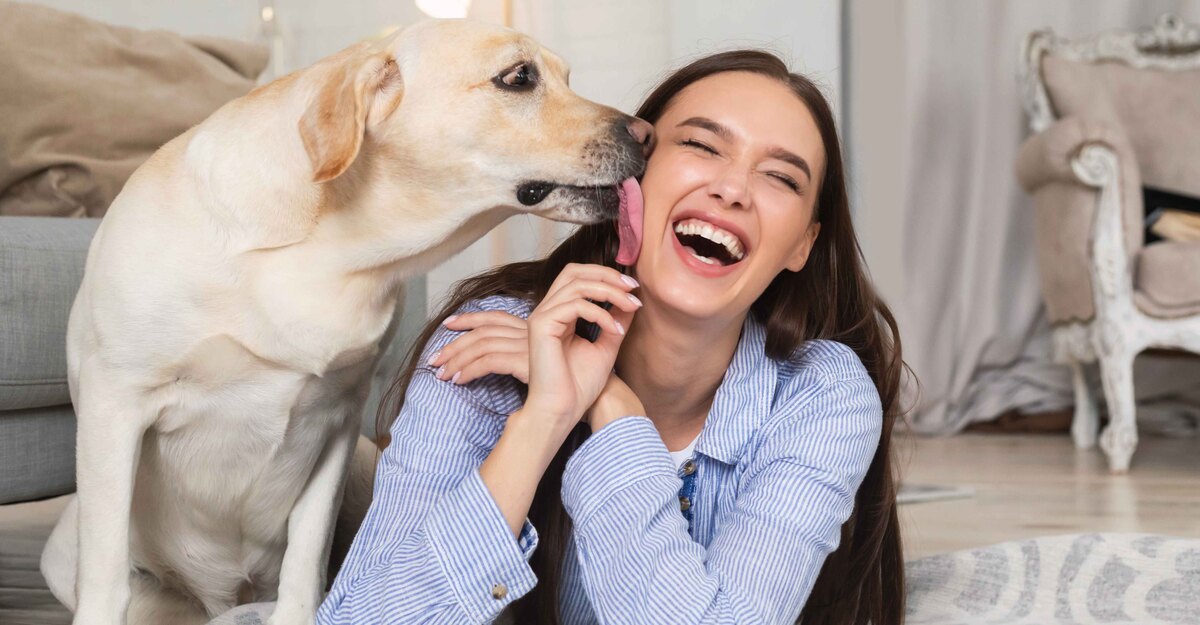 Un cane lecca la faccia della sua padrona
