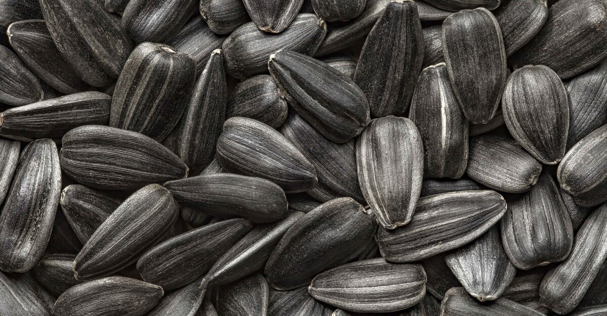 Dei semi di girasole