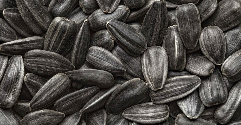 Dei semi di girasole