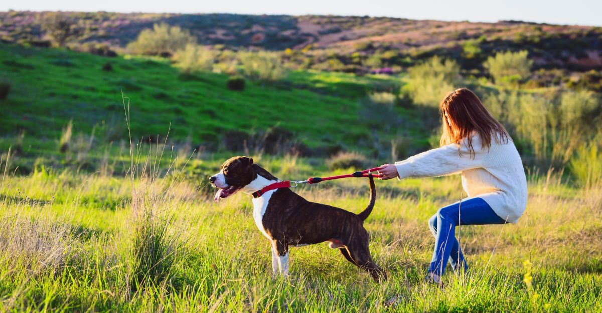 Ragazza che tiene il cane che tira al guinzaglio
