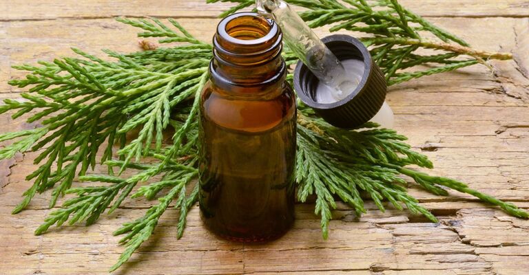 olio essenziale di cipresso