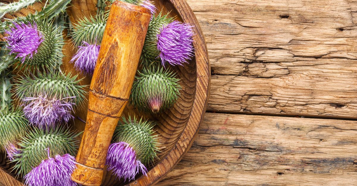 Il fiore del Cardo mariano