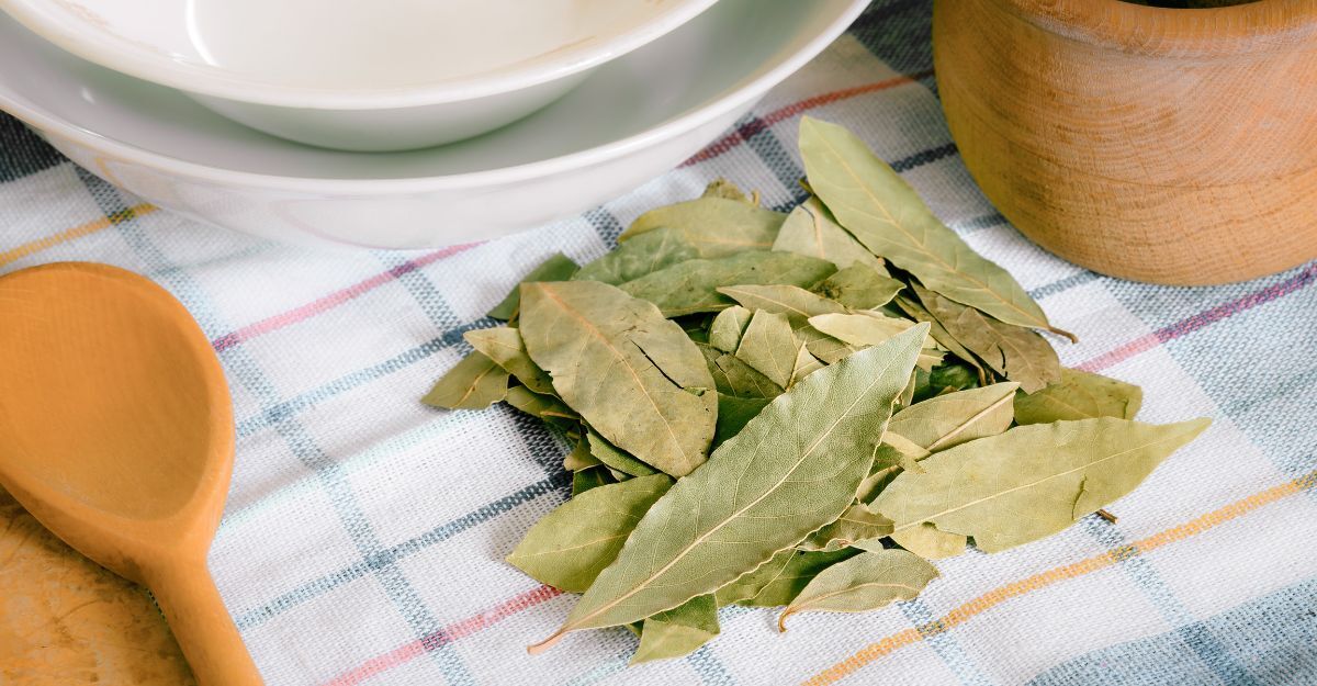 Foglie di alloro su un tavolo in cucina