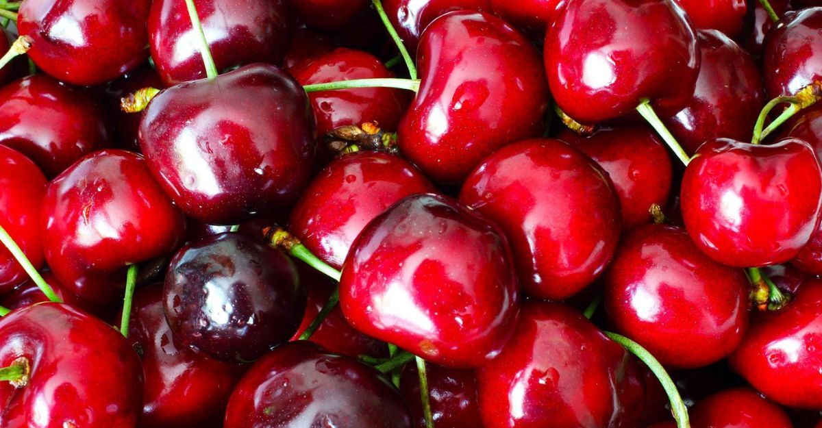 Delle ciliegie e amarene
