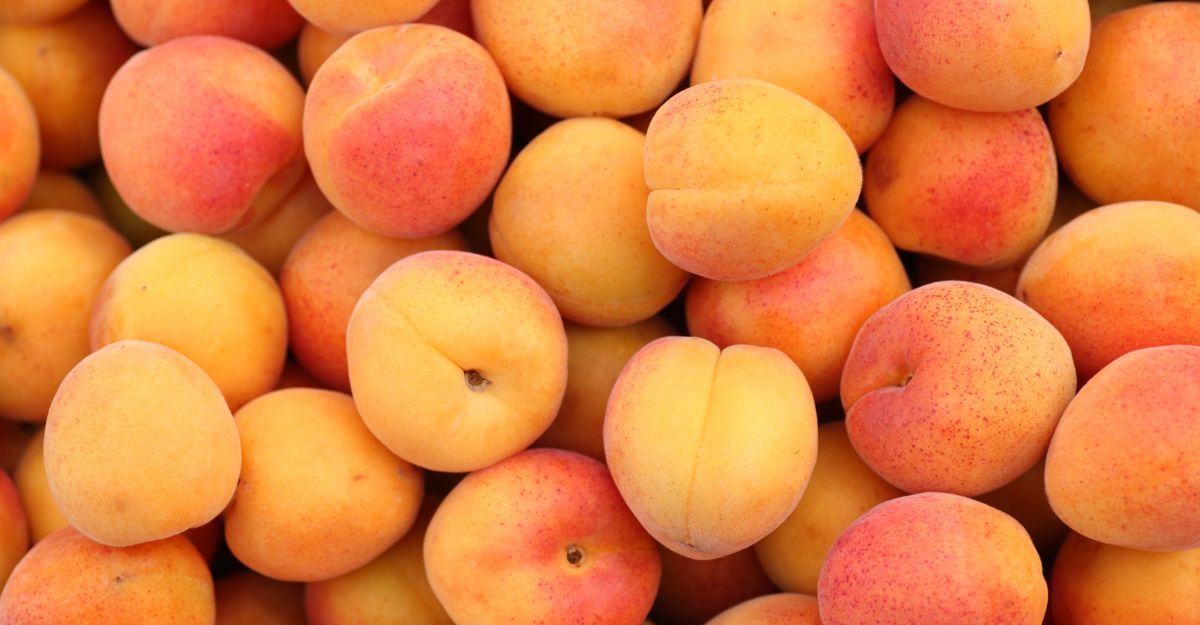 Delle albicocche