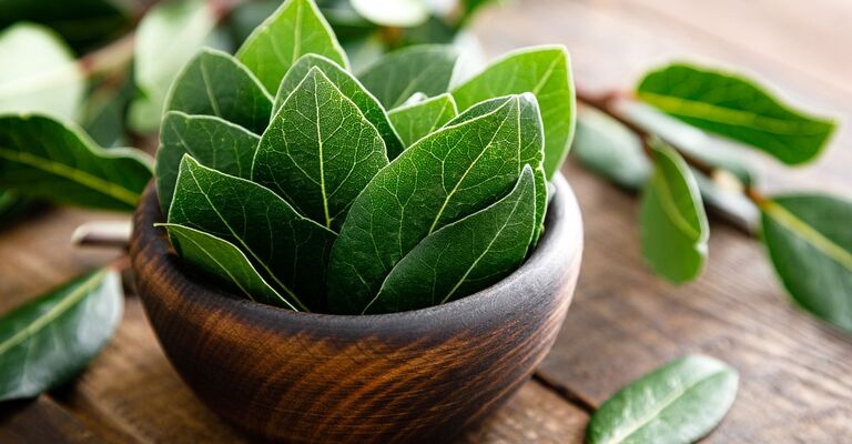 Alloro in una ciotola di legno