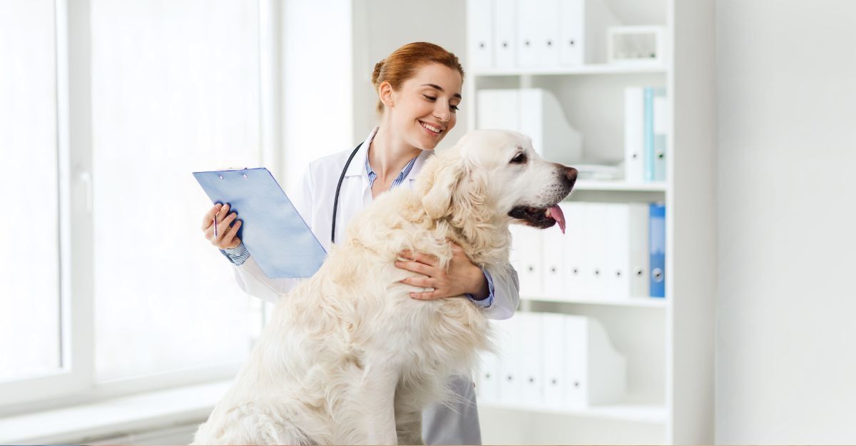 fermenti-lattici-cani-2