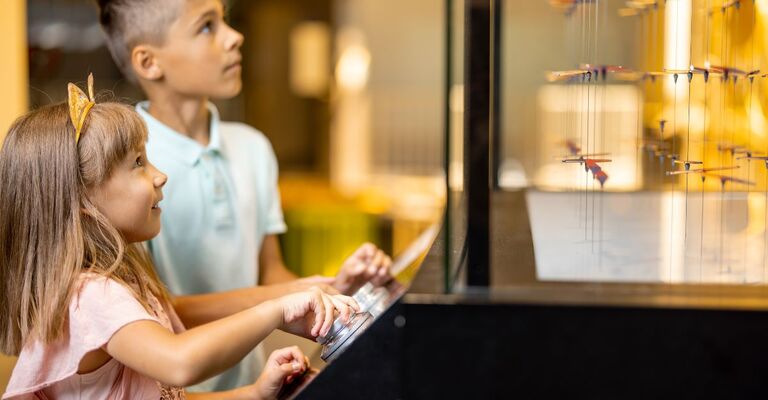 Dei bambini in un museo