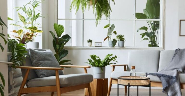 Una stanza in casa piena di piante