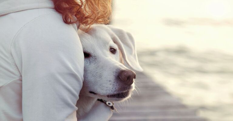 Padrona tiene il suo cane abbracciato a sé