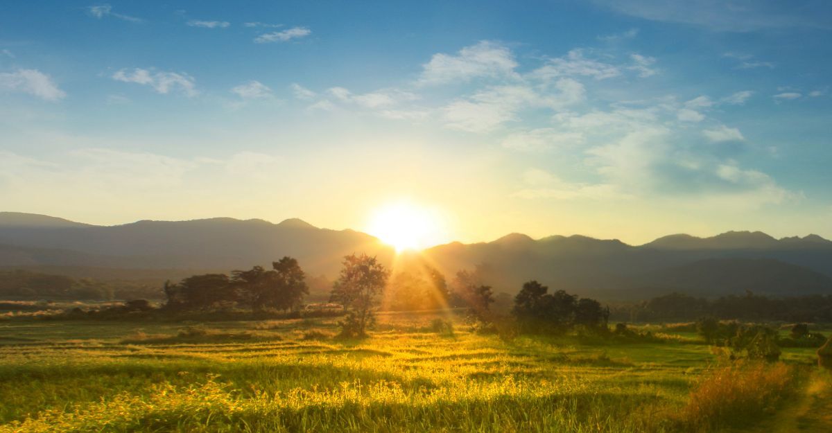 paesaggio collinare all'alba