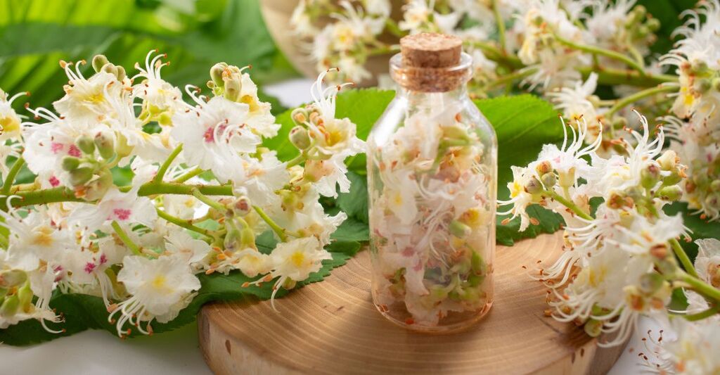 Bottiglia di vetro con tappo in sughero e fiori di ippocastano