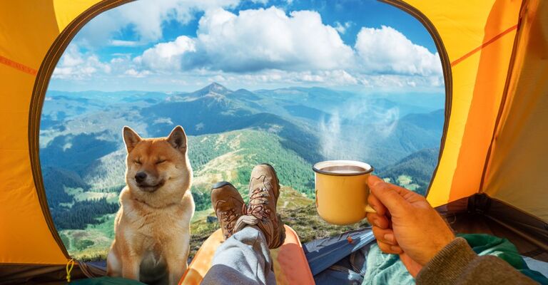 cane e padrone si riposano in tenda