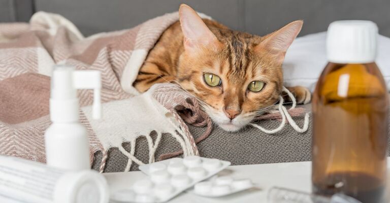 Fatto su un letto con coperta e medicinali di fronte