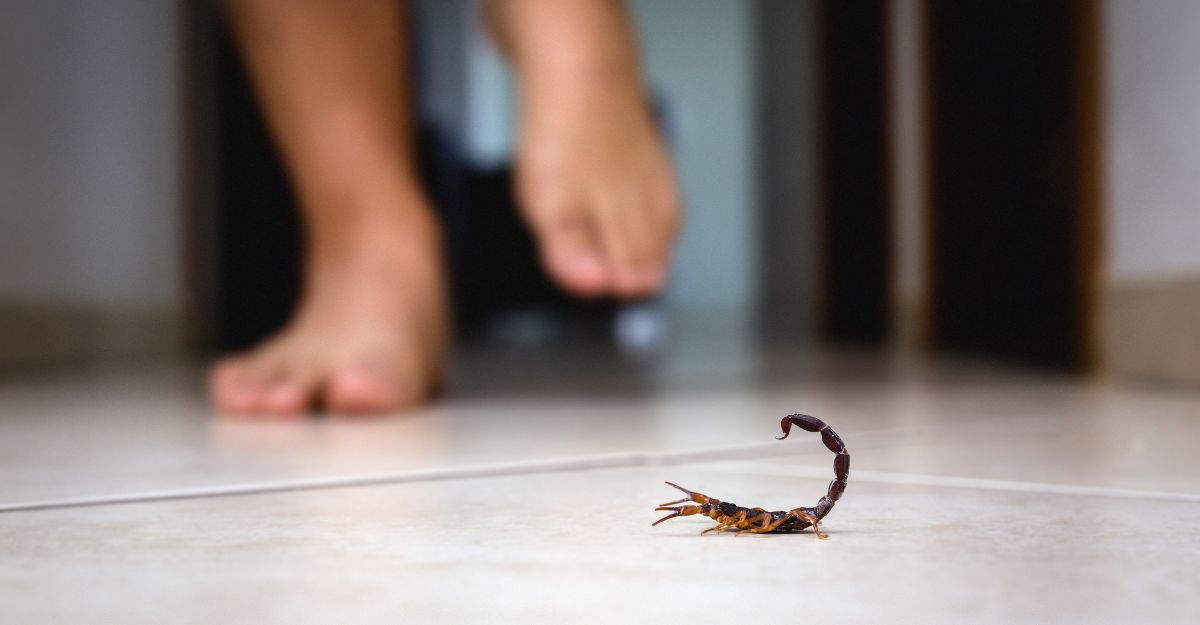 Piede che sta per schiacciare uno scorpione