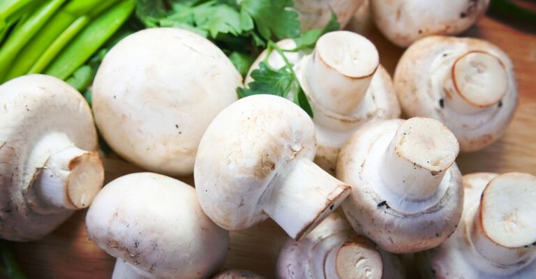 Dei funghi Champignon