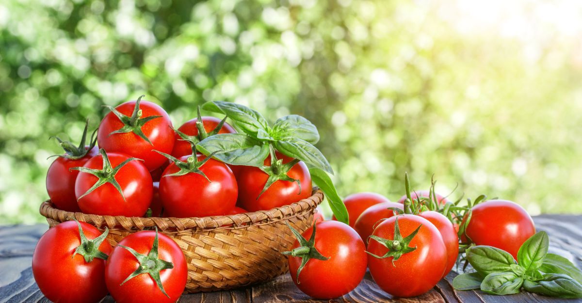 pomodori rossi in un cestino sopra un tavolo